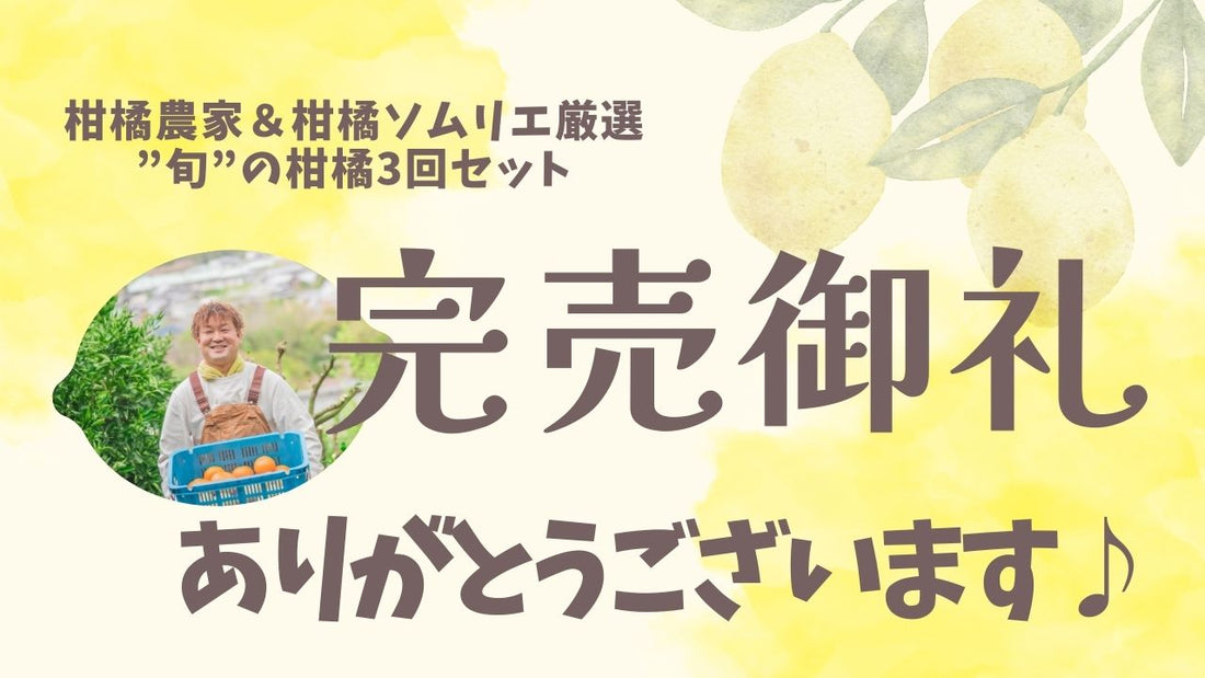 【完売のお知らせ】柑橘農家&柑橘ソムリエ厳選”旬”の柑橘3回セット