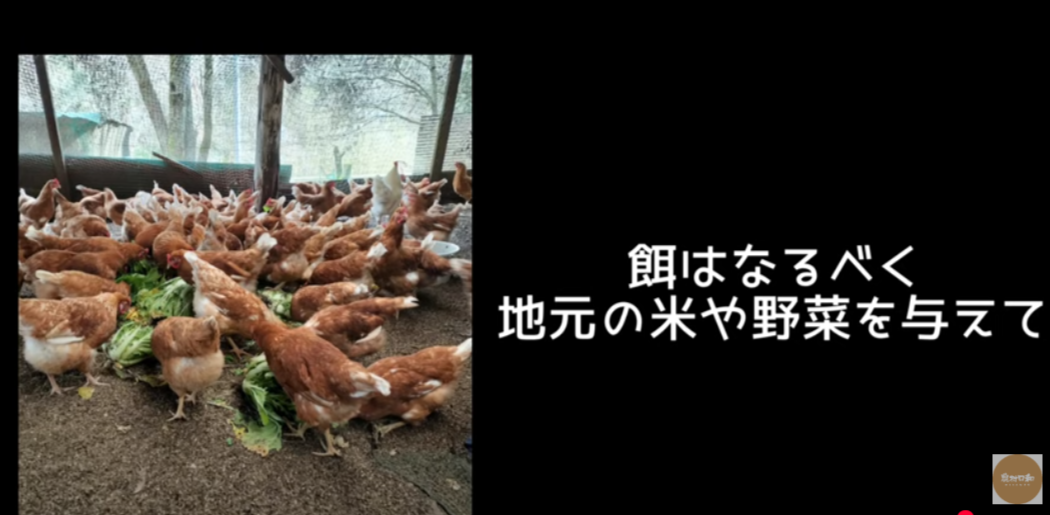 『農村日和』3月の推し農家:おやまの農園ほーんびるさん