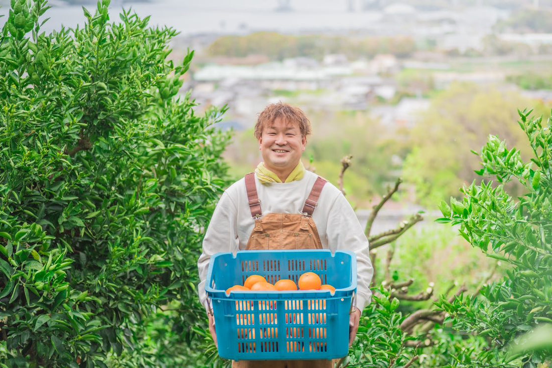 5月の推し農家:おおみしまファームさん「柑橘農家&柑橘ソムリエ厳選”旬”の3回セット」予約販売中!