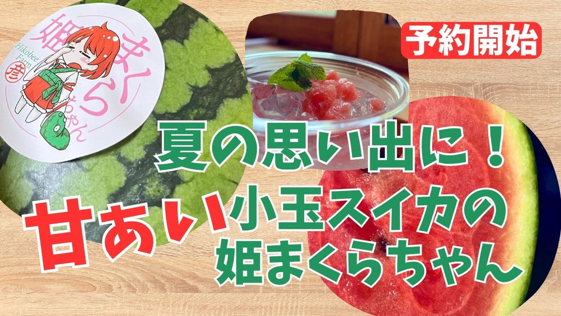 6月の推し農家:彦兵衛農園「夏の思い出に!甘ぁい小玉スイカの姫まくらちゃん」予約販売開始!