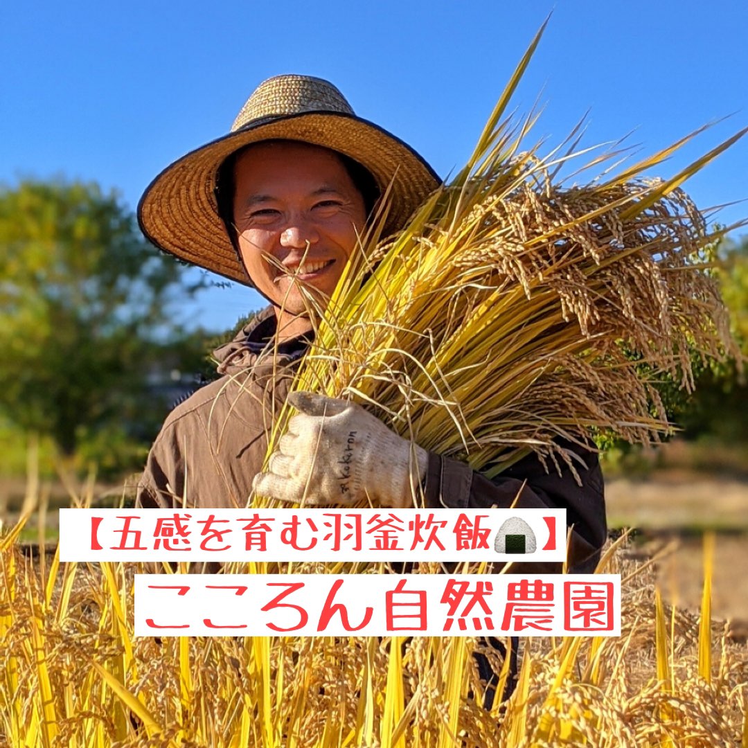 黒焙じ玄米茶