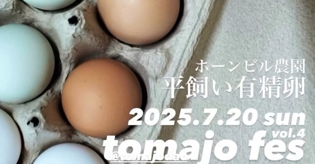 マルシェイベントのお知らせ：食の祭典 tomajo fes vol.4