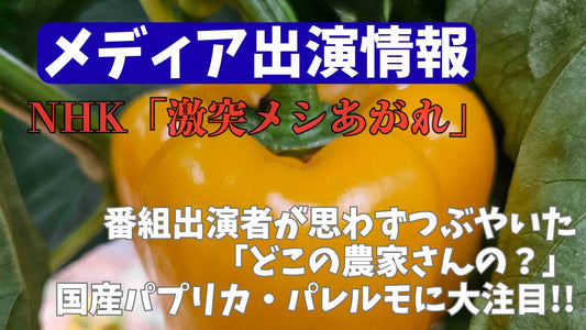 メディア情報☆NHKの番組に百瀬農園さんのパプリカ・パレルモが登場