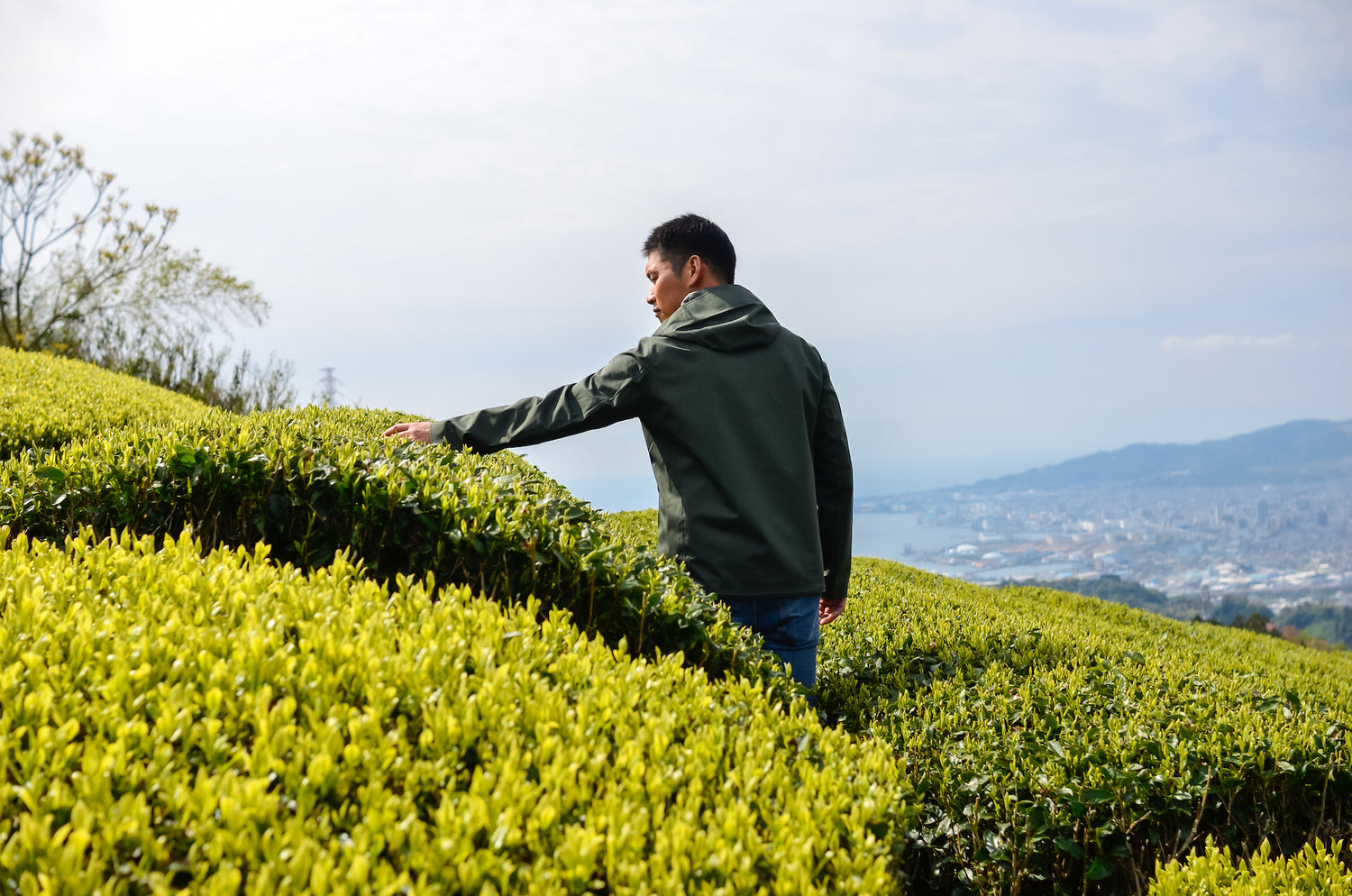 杉山貢大農園