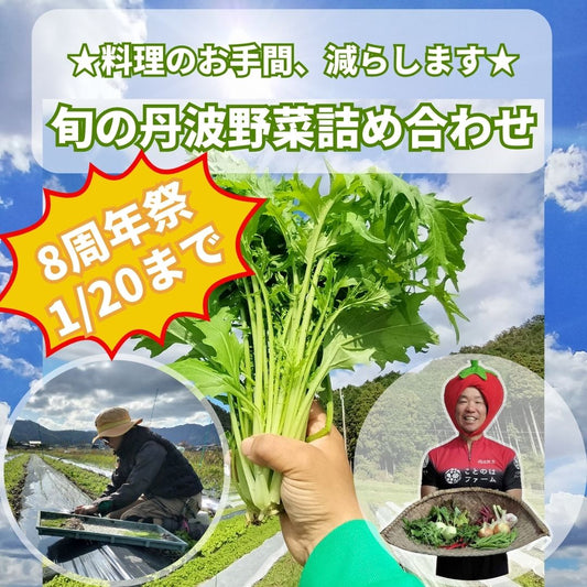 【ことのはファーム】旬の丹波野菜詰め合わせ（送料込み）