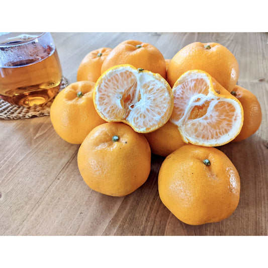 清水のジューシーで甘いみかん「はるみ」！5キロ箱